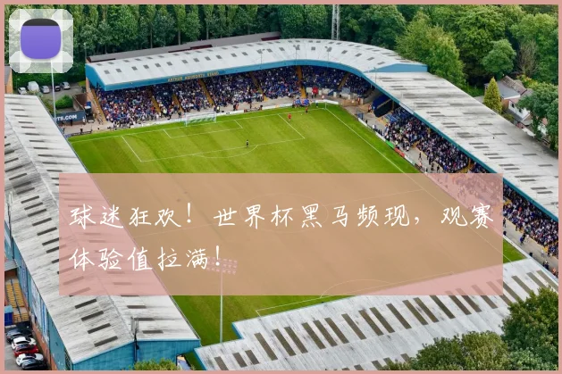 球迷狂欢！世界杯黑马频现，观赛体验值拉满！