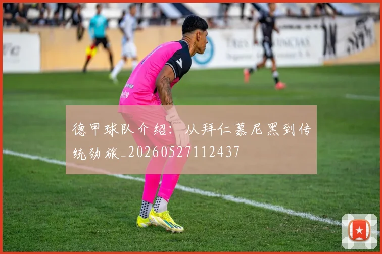 德甲球队介绍：从拜仁慕尼黑到传统劲旅_20260527112437